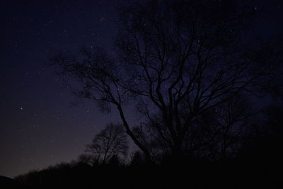 Low angle view of silhouette trees against sky at night