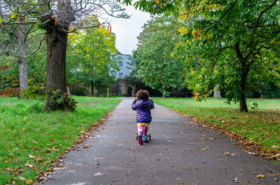 A little girl on a scooter in autumn