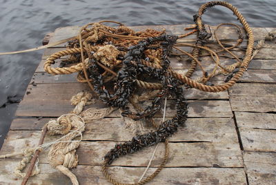 High angle view of ropes on wood