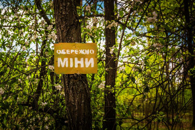 Information sign on tree