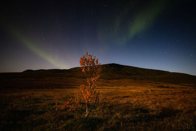 Scenic view of field against sky at night