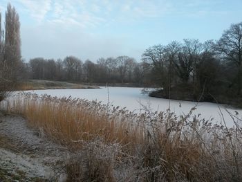 Scenic view of lake against sky during winter