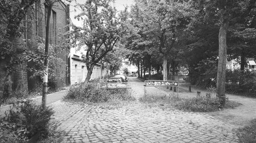 Street amidst trees in city