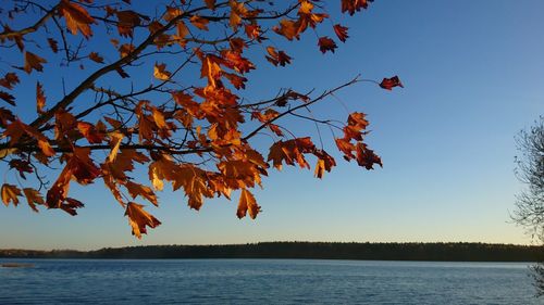 Scenic view of lake against sky during autumn