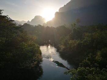 Scenic view of river amidst trees against sky