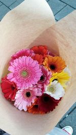 Close-up of flowers