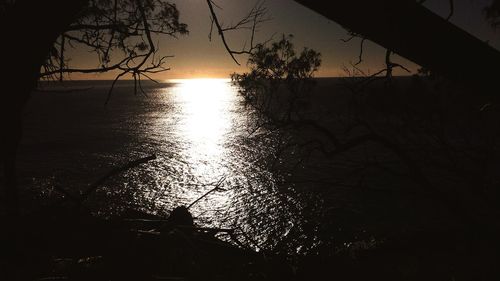 Silhouette trees by sea against sky during sunset