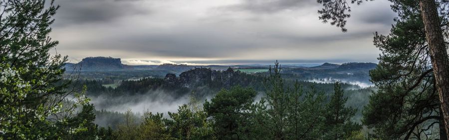 Panoramic view of forest against sky