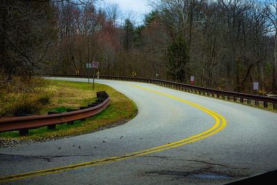 Road amidst trees