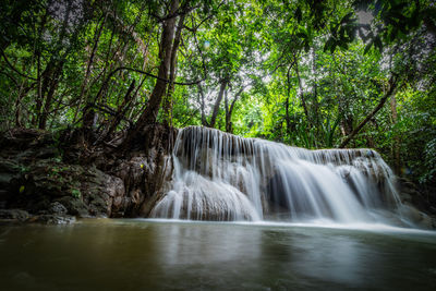 Scenic view of waterfall in forest