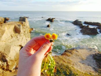 Cropped hand of woman holding yellow flowers against sea