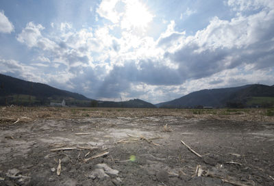 Scenic view of field against sky