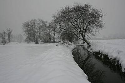 Bare trees on snow covered landscape