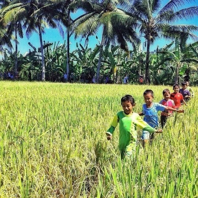 grass, leisure activity, lifestyles, person, green color, casual clothing, young adult, field, smiling, tree, happiness, looking at camera, young women, growth, full length, enjoyment, boys, childhood