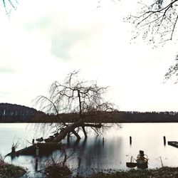 Calm lake with trees in background