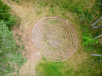 High angle view of trees growing on field