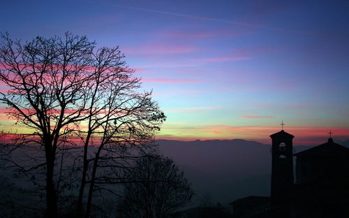 Silhouette tree and buildings against sky during sunset