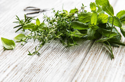 Close-up of leaves on table