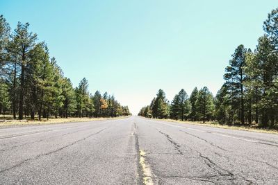 Empty road along trees