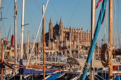 Boats moored at harbor