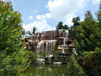 Plants growing on rock against sky