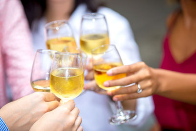Friends toasting wineglasses during party
