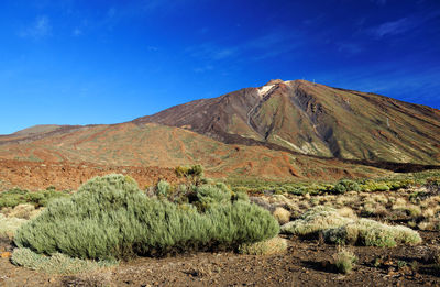 Landscape against rocky mountains and blue sky