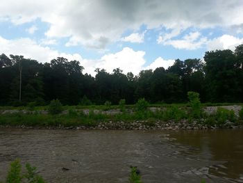 Scenic view of trees against cloudy sky