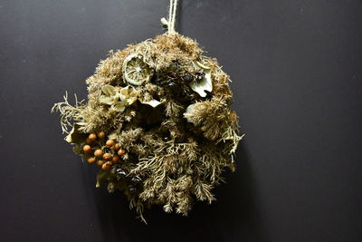 High angle view of dry leaf on table against black background