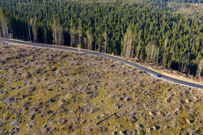 High angle view of road against trees