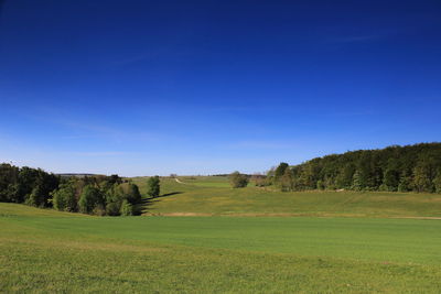 Scenic view of field against clear blue sky