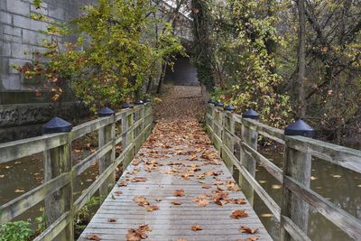 Footpath leading to narrow walkway