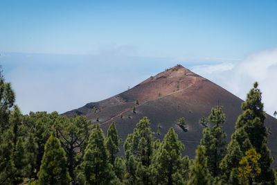 Panoramic view of trees and mountains against sky