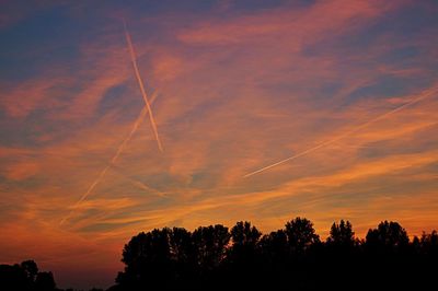 Silhouette of trees at sunset