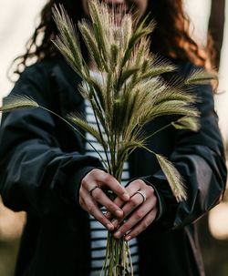 Midsection of woman holding plants on field during sunset