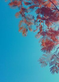 Low angle view of tree against sky