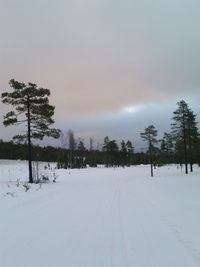 Scenic view of snow covered landscape