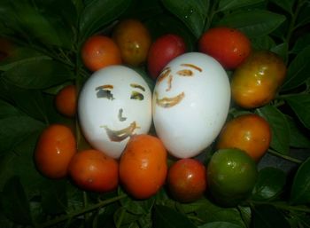 High angle view of tomatoes and vegetables