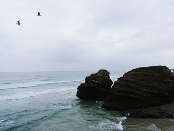 View of birds flying over sea against sky