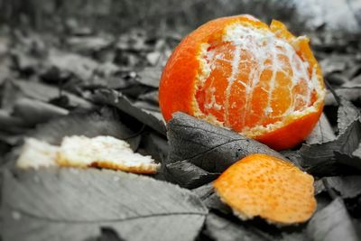 Close-up of food