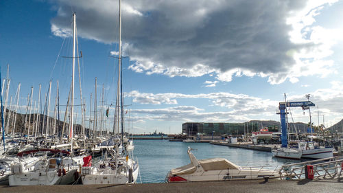 Sailboats moored at harbor against sky