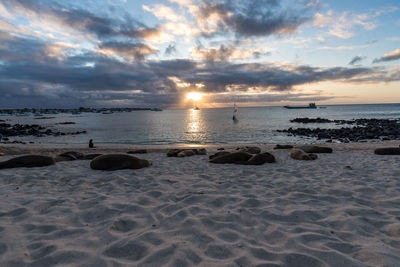 Scenic view of beach against sky during sunset