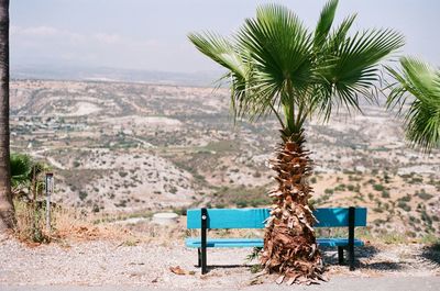 Coconut palm tree on landscape against sky
