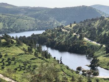 High angle view of river amidst trees and mountains