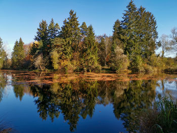 Reflection of trees in lake against sky
