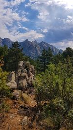 Scenic view of trees and mountains against sky