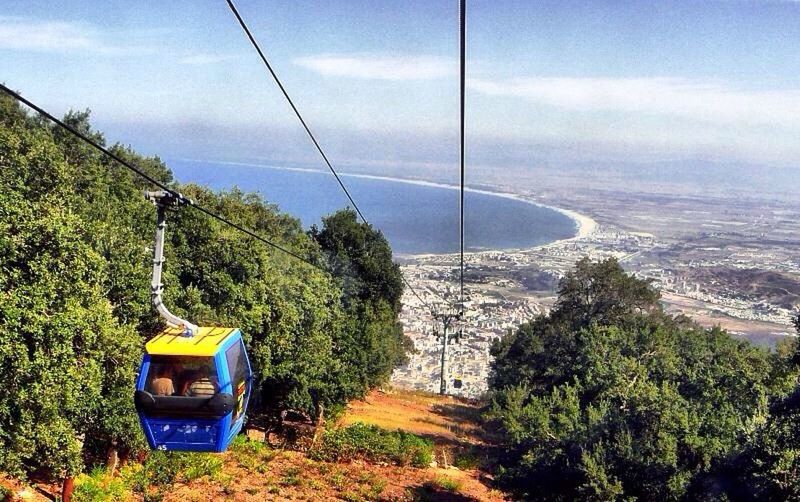 tree, transportation, cable, overhead cable car, mode of transport, sky, green color, growth, water, mountain, scenics, tranquil scene, lush foliage, tranquility, nature, blue, solitude, outdoors, beauty in nature, day, green, cloud - sky, no people, steel cable, non-urban scene, sea, rocky mountains, power line