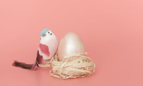 Close-up of apple against pink background