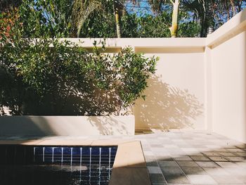 Plants by swimming pool against trees