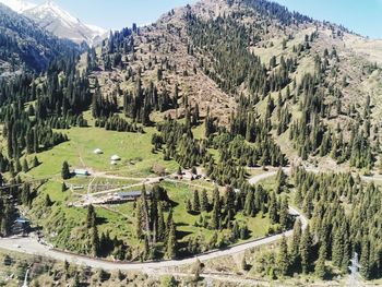 High angle view of trees and mountains